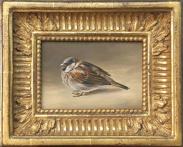 Sparrow at the Petit Palais Paris Sparrow at the Petit Palais Paris