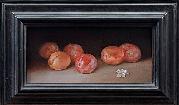Plums by Tanja Moderscheim Plums by Tanja Moderscheim